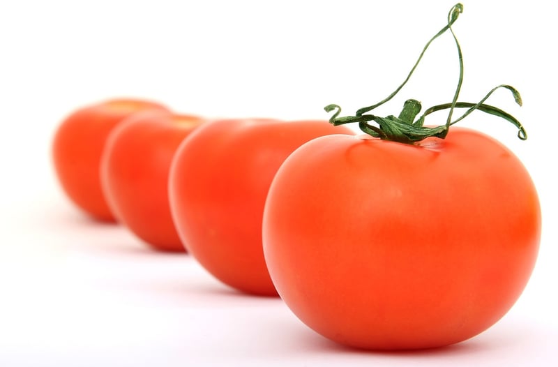 La Tomatina
